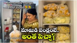 Viral Video: సీజన్‌తో పనిలేదు.. ఈ బామ్మ దగ్గర 365 రోజులు మామిడి పండ్లు దొరుకుతాయ్, అందుకు ఏం చేస్తోందంటే?