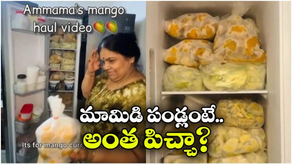 Viral Video: సీజన్‌తో పనిలేదు.. ఈ బామ్మ దగ్గర 365 రోజులు మామిడి పండ్లు దొరుకుతాయ్, అందుకు ఏం చేస్తోందంటే?