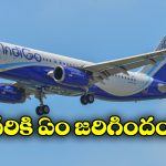 Fuel Leaks in Flight: విమానం గాల్లో ఉండగా ఫ్యూయెల్ లీక్..భయంతో వణికిపోయిన ప్రయాణీకులు!