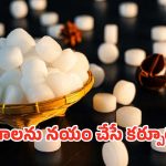 Karpooram: చిటికెడు పచ్చ కర్పూరం.. జీర్ణ సమస్యల నుండి కీళ్ల నొప్పుల వరకు ఉపశమనం