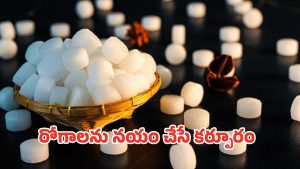 Karpooram: చిటికెడు పచ్చ కర్పూరం.. జీర్ణ సమస్యల నుండి కీళ్ల నొప్పుల వరకు ఉపశమనం
