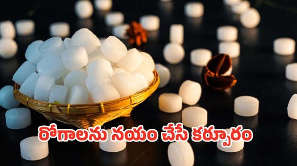 Karpooram: చిటికెడు పచ్చ కర్పూరం.. జీర్ణ సమస్యల నుండి కీళ్ల నొప్పుల వరకు ఉపశమనం