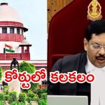 Supreme Court: సుప్రీంకోర్టులో ఊహించని ఘటన..  సీజేఐపై చెప్పు విసరబోయిన న్యాయవాది, ఆపై గందరగోళం