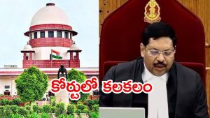 Supreme Court: సుప్రీంకోర్టులో ఊహించని ఘటన..  సీజేఐపై చెప్పు విసరబోయిన న్యాయవాది, ఆపై గందరగోళం