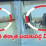 MP Crime: ఛీ.. కామాంధుడా, మహిళ శవాన్ని కూడా వదల్లేదుగా.. సీసీ కెమేరాకు చిక్కిన దారుణం