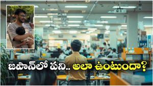 Viral Video: జపాన్ భాష నేర్చుకుని.. ఏకంగా రూ.59 లక్షల సంపాదిస్తున్న ఇండియన్, ఇదిగో ఇలా?