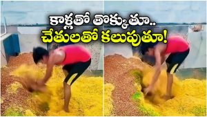 Viral Video: మీకు మిక్చర్ అంటే బాగా ఇష్టమా? ఆ టేస్ట్‌కు కారణం ఇదే.. తింటే పోవడం పక్కా!