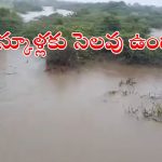 Heavy rains: అత్యంత భారీ వర్షాలు.. రేపు స్కూళ్లకు సెలవు ఉందా..? లేదా..? ఇదిగో క్లారిటీ