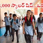 NMMS Scholarship: విద్యార్థులకు శుభవార్త.. రూ.48వేల స్కాలర్ షిప్ ఈజీగా పొందండి, అప్లికేషన్ ప్రాసెస్ ఇదే