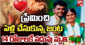 Nalgonda: ప్రేమించి పెళ్లి చేసుకున్న జంట.. 14 రోజులకే వధువు మృతి