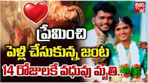 Nalgonda: ప్రేమించి పెళ్లి చేసుకున్న జంట.. 14 రోజులకే వధువు మృతి