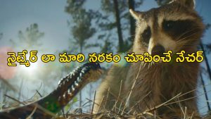 OTT Movie : పర్యావరణం అంటే పరవశించిపోతారా ? ఈ సినిమాను చూశాక పారిపోతారు భయ్యా