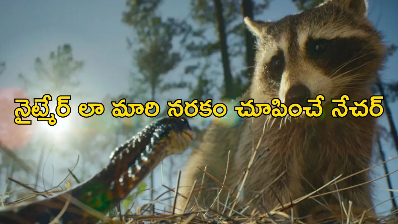 OTT Movie : పర్యావరణం అంటే పరవశించిపోతారా ? ఈ సినిమాను చూశాక పారిపోతారు భయ్యా