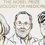 Nobel Prize Winners: వైద్య రంగంలో ముగ్గురికి నోబెల్ బహుమతి.. వారి పేర్లు ఇవే