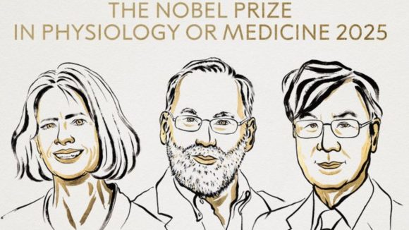 Nobel Prize Winners: వైద్య రంగంలో ముగ్గురికి నోబెల్ బహుమతి.. వారి పేర్లు ఇవే
