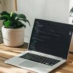 Plants For Office Desk: ఆఫీస్ డిస్క్‌కు సెట్ అయ్యే.. అద్భుతమైన మొక్కలు ఇవే !