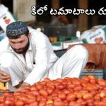 KG Tomatoes Rs 600: కిలో టమాటాలు రూ.600.. అల్లం రూ.750.. ఉల్లి రూ.120, ఎక్కడో తెలుసా?
