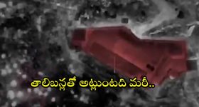 Safety Tips: బస్సులో మంటలు చెలరేగితే.. కంగారు పడకుండా ఇలా చేస్తే సేఫ్ గా బయటపడొచ్చు!
