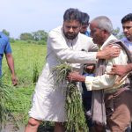 Pawan Kalyan: తుపానుతో నష్టపోయిన ప్రతి రైతును ఆదుకుంటాం.. యుద్ధ ప్రాతిపదికన పంటనష్టం అంచనా: డిప్యూటీ సీఎం పవన్ కల్యాణ్