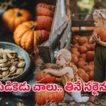 Pumpkin Seeds: గుమ్మడి గింజలు రోజుకు ఎన్ని తినాలి? చిన్న పిల్లలకు నేరుగా పెట్టొచ్చా?
