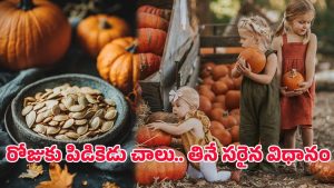 Pumpkin Seeds: గుమ్మడి గింజలు రోజుకు ఎంత తినాలి? చిన్న పిల్లలకు నేరుగా పెట్టొచ్చా?