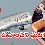 Qatar Airways: ఖతార్ విమానంలో ఘోరం.. వెజ్‌కు బదులు నాన్ వెజ్.. డాక్టర్ ప్రాణం తీశారు