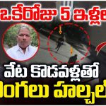 Robbery: మారణాయుధాలతో దొంగల హల్‌చల్.. ఒకేసారి ఐదు ఇళ్లల్లో చోరీ..