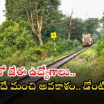 RRB JE POSTS: రైల్వేలో 2570 జూనియర్ ఇంజినీర్ ఉద్యోగాలు.. భారీ వేతనం, ఈ అర్హత ఉంటే చాలు