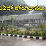 AP Heavy Rains: బలహీనపడుతున్న అల్పపీడనం.. ఏపీలో కుండపోత వర్షాలు