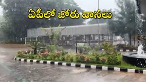 AP Heavy Rains: బలహీనపడుతున్న అల్పపీడనం.. ఏపీలో కుండపోత వర్షాలు