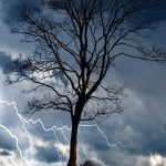 AP Weather Alert: ఏపీపై ద్రోణి ఎఫెక్ట్.. రానున్న రెండు రోజులు భారీ వర్షాలు