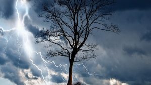 AP Weather Alert: ఏపీపై ద్రోణి ఎఫెక్ట్.. రానున్న రెండు రోజులు భారీ వర్షాలు
