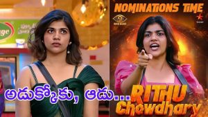 Bigg Boss Ritu Chaudhary : రీతూ చౌదరికి సీజన్ అంతా అడుక్కోవడమే పని అయిపోయింది