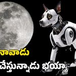 Robo Dogs: చంద్రుడి మీదకు రోబో కుక్కలు.. అక్కడ అవి ఏం చేస్తాయంటే?