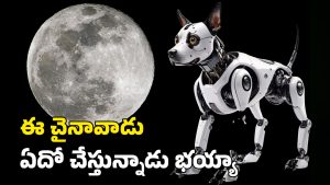 Robo Dogs: చంద్రుడి మీదకు రోబో కుక్కలు.. అక్కడ అవి ఏం చేస్తాయంటే?