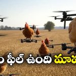 Viral Video: కోడికి కొత్త రెక్కలు.. డ్రోన్‌తో ఎలా ఎగిరిందో చూడండి!