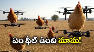 Viral Video: కోడికి కొత్త రెక్కలు.. డ్రోన్‌తో ఎలా ఎగిరిందో చూడండి!