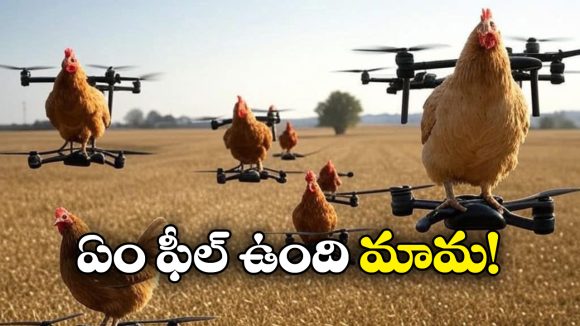 Viral Video: కోడికి కొత్త రెక్కలు.. డ్రోన్‌తో ఎలా ఎగిరిందో చూడండి!