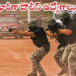Sub Inspector: డిగ్రీ అర్హతతో 2861 ఎస్ఐ ఉద్యోగాలకు నోటిఫికేషన్ రిలీజ్.. అక్షరాల రూ.1,12,400 జీతం