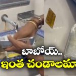 Shocking Video: రైళ్లలో ఫుడ్ ఇలాంటి కంటేనర్లలో ప్యాక్ చేస్తారా? చూస్తే వాంతి చేసుకోవడం పక్కా!