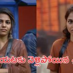 Bigg Boss srija : బిగ్బాస్ మాస్టర్ ప్లాన్, ఆడియన్స్ కోరిక మేరకు ఆమెను ఇలా తీసుకొచ్చి అలా పంపించేసాడు