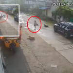 Stray Dogs Attack: ఘోరం! బాలికపై వీధి కుక్కలు మూకుమ్మడి దాడి.. సీసీ కెమెరాల్లో రికార్డ్