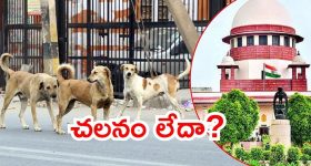 IPL 2026: కేకేఆర్ ప్లాన్ మాములుగా లేదు.. ముగ్గురు డేంజ‌ర్ ప్లేయ‌ర్ల‌ను దించుతున్నారుగా !
