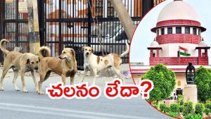 Supreme Court on Dogs: వీధికుక్కల ఇష్యూ.. తప్పుగా చిత్రీకరణ,  పలు రాష్ట్రాలపై సుప్రీంకోర్టు ఆగ్రహం
