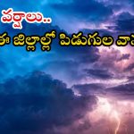 Weather News: రాష్ట్రంలో భారీ నుంచి అతిభారీ వర్షాలు.. ఈ ప్రాంతాల్లో కుండపోత వాన, పిడుగులు పడే ఛాన్స్?