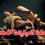 OTT Movie : వింత జంతువుతో అమ్మాయి సరసాలు… ఫ్రెండ్ తో కలిసి పాడు పని… ఇది అరాచకమే