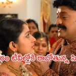 Today Movies in TV : గురువారం టీవీల్లోకి రాబోతున్న సినిమాలు.. వీటిని మిస్ చెయ్యొద్దు..