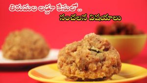 Tirumala Laddu: తిరుమల లడ్డూ కల్తీ నెయ్యి కేసులో కీలక మలుపు.. నెయ్యి సరఫరా వెనుక ఇంత హిస్టరీ ఉందా..?