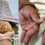 Tirumala Adulterated Ghee Case: తిరుమల కల్తీ నెయ్యి కేసు.. తొలి రాజకీయ అరెస్ట్, వైపీసీలో కొత్త టెన్షన్