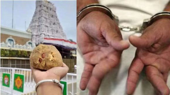 Tirumala Adulterated Ghee Case: తిరుమల కల్తీ నెయ్యి కేసు.. తొలి రాజకీయ అరెస్ట్, వైపీసీలో కొత్త టెన్షన్ Tirumala Adulterated Ghee Case: తిరుమల కల్తీ నెయ్యి కేసు.. తొలి రాజకీయ అరెస్ట్, వైపీసీలో కొత్త టెన్షన్